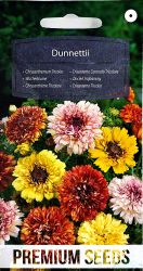 Chrysanthemum Tricolor Dunnettii Seeds